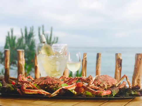 La terrasse ombragée du Petit Chose sous les figuiers centenaires